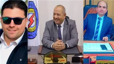 القناة للكهرباء تكشف عن مشروع جديد لراحة المواطنين فى مدينة بدر.. صور
