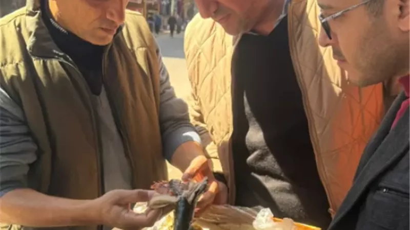 بوابة الجمهورية