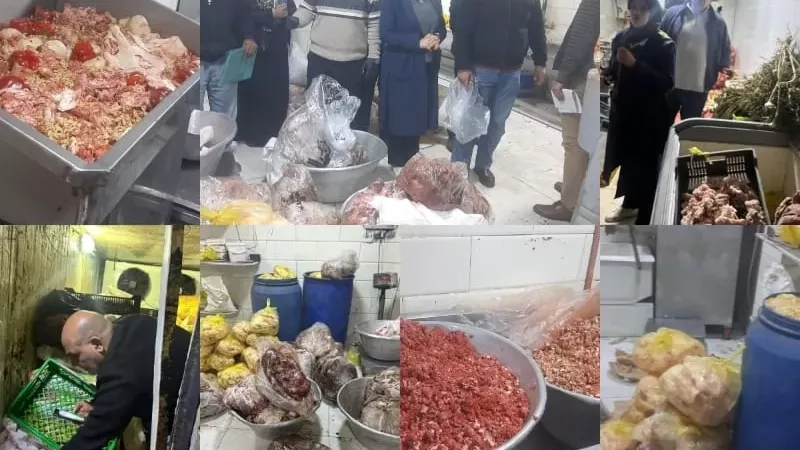 محافظة القليوبية