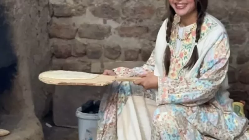 الفنانة جنات
