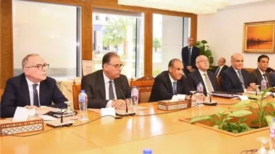 مد إعفاء الموبايل للمصريين بالخارج إلى 120 يومًا بدءًا من 1 أبريل