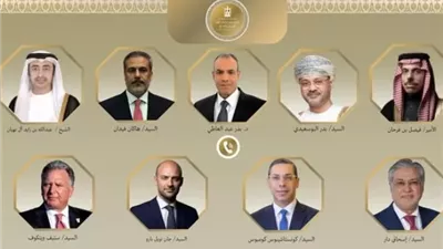 وزير الخارجية يؤكد دعم مصر الكامل لكافة المبادرات والمساعي الهادفة لتحقيق التهدئة وانهاء الحرب