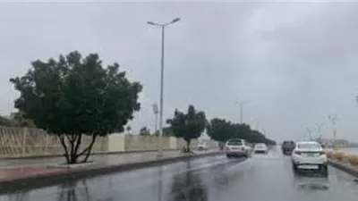 لسلامتك وصحتك..خطوات بسيطة لمواجهة الطقس الممطر