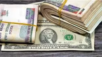استقرار نسبي لسعر الدولار مقابل الجنيه اليوم