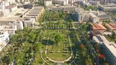 جامعة المنصورة تتصدر الجامعات المصرية في مجال محو الأمية
