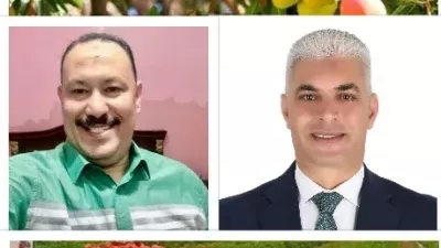 الإسماعيلية تدخل عصر 