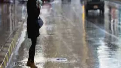 سنن النبي عند نزول المطر
