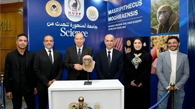 جامعة المنصورة تعلن عن اكتشاف تاريخ تطورالقردة العليا 