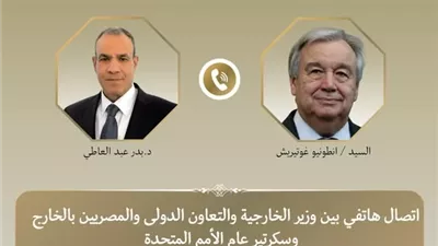 وزير الخارجية يؤكد على ضرورة الوقف الفورى للاعتداءات الاسرائيلية بلبنان