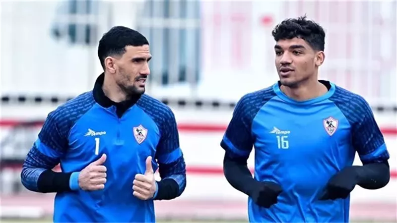 محمد صبحى ومحمد عواد