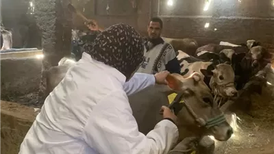 الانصاري:انطلاق الحملة القومية للتحصين ضدالجلد العقدي وجدري الضأن