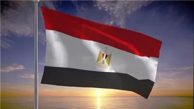 مصر تدين الاعتداءات على المنشآت العسكرية والمدنية بالكويت الشقيقة