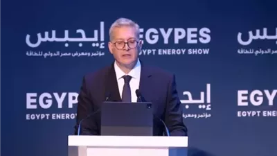 وزير البترول: مصر استقدمت سفنا للتغييز بطاقة 2.7 مليار قدم مكعب يوميا