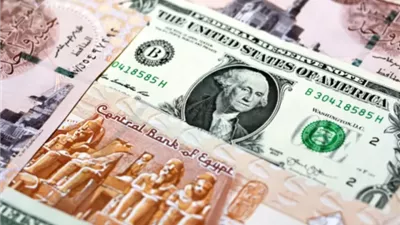 تراجع سعر الدولار أمام الجنيه المصري خلال منتصف التعاملات بالبنوك