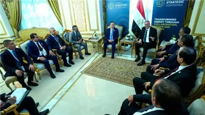 وزير البترول يبحث مع يونايتد إنرجي استخدام الطاقة الشمسية محل السولار