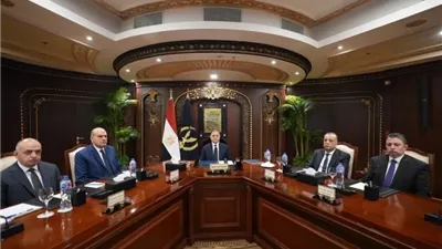 وزير الداخلية يشارك في الاجتماع الـ43 لوزراء الداخلية العرب