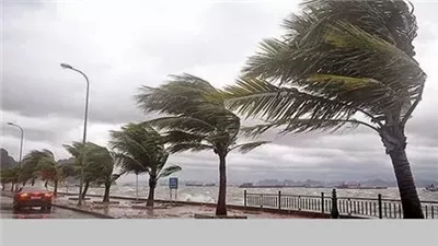 المأثور في الهدي النبوي عند هبوب الرياح