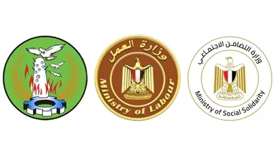 وزير العمل: صرف 600 ألف جنيه مساعدات عاجلة لأسر ضحايا حادث المنوفية