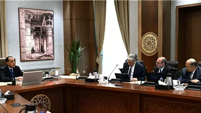 رئيس الوزراء يتابع آليات تنفيذ المبادرة الرئاسية 