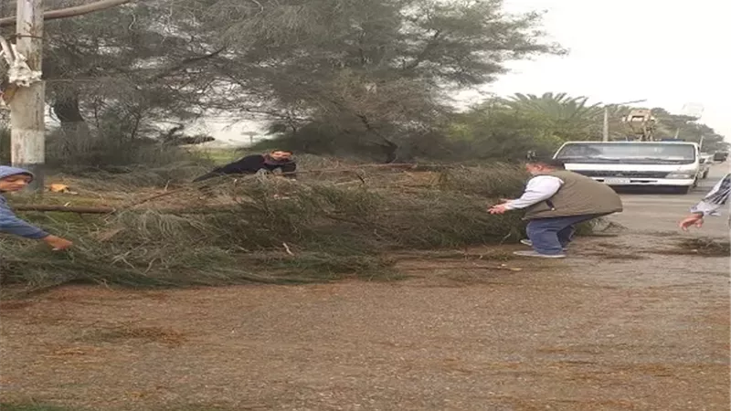 بوابة الجمهورية