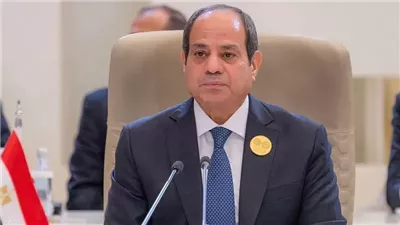 حماس تعرب عن تقديرها لجهود مصر بقيادة الرئيس السيسي في دعم القضية الفلسطينية