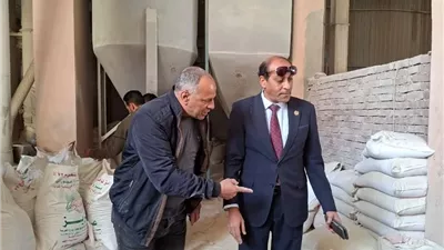 تموين القليوبية تضبط 26 طن فول و210 علب تونة مجهولة المصدر ببنها