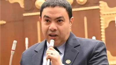 الشرقاوى يقترح إعفاء أو تخفيض غرامات زراعة الأرز