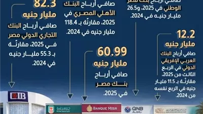 ارتفاع صافي أرباح بنوك القطاع المصرفي في 2025