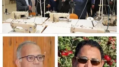 الإسماعيلية.. قلعة صناعية ولوجستية عملاقة