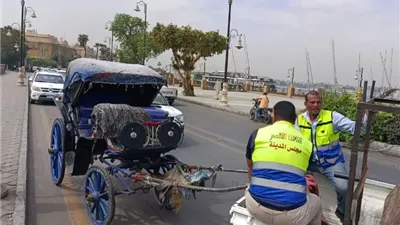 محافظ الأقصر يضبط عربة حنطور مخالفة خلال جولة صباحية بالمدينة