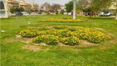 استعد لشم النسيم.. تطورات مذهلة في مسطحات القاهرة الجديدة الخضراء