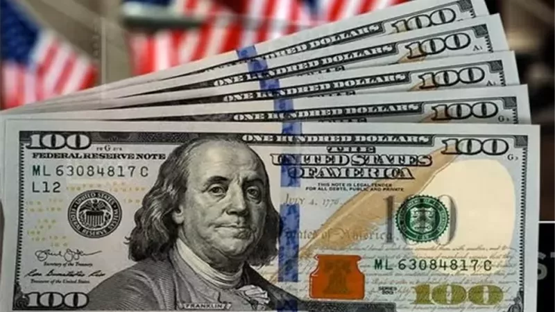سعر الدولار