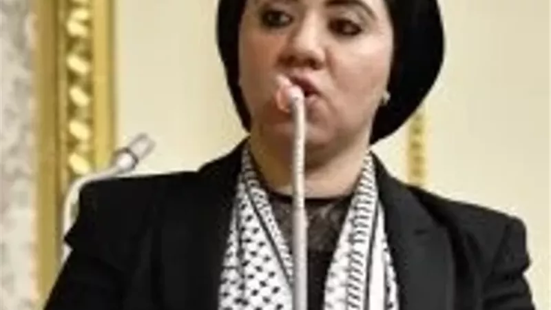 النائبة أميرة صابر