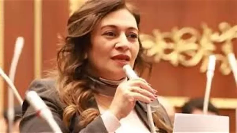 النائبة نيفين فارس