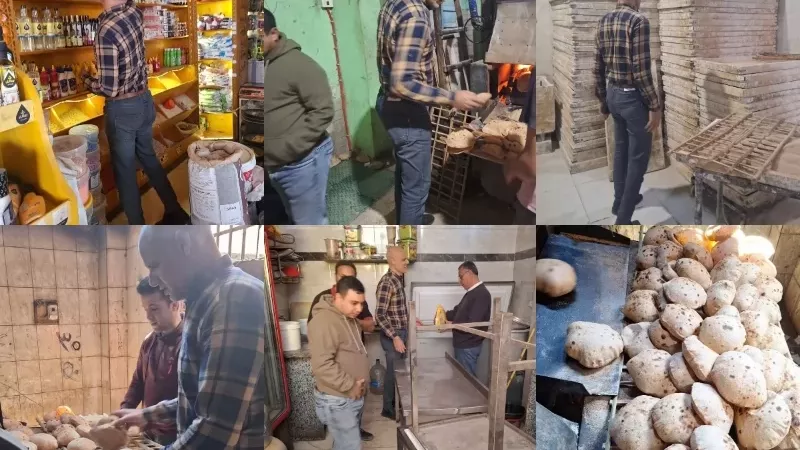 تموين القليوبية