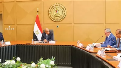 وزير الكهرباء يبحث مع وفد الطاقة الروسي مستجدات العمل في مشروعات الطاقة النظيفة