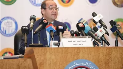 وزير المالية: ١٢٠ مليار جنيه لدعم الطاقة بالموازنة الجديدة
