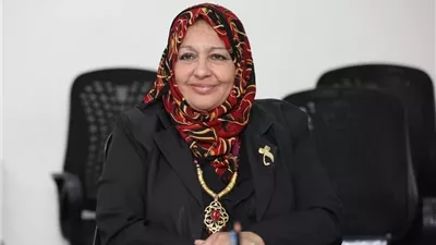 سهام جبريل: الرئيس السيسي دائما يضع قضايا الأسرة فى مقدمة اهتماما