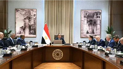 رئيس الوزراء يبحث مستجدات مشروع الضبعة النووية