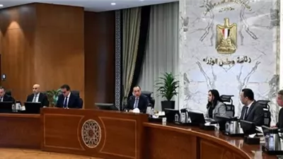 الحكومة: طرح 