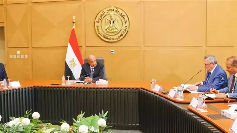 الدكتور محمود عصمت