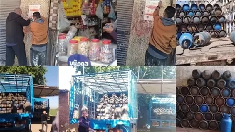 تموين القليوبية