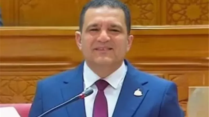 النائب أمير أحمد