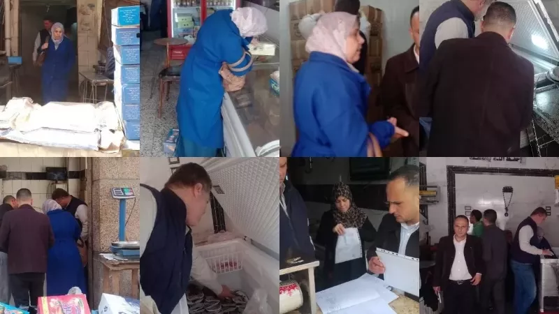 تموين القليوبية