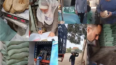 حملات تموينية بالقليوبية تُحرر 44 محضراً وتضبط مخالفات بالمخابز