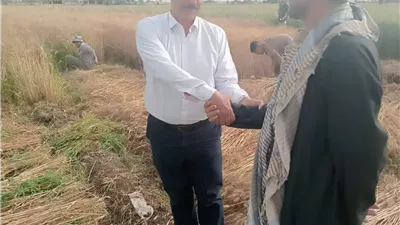 مدير زراعة المنيا يتفقد حصاد محصول القمح في العدوة و مغاغة