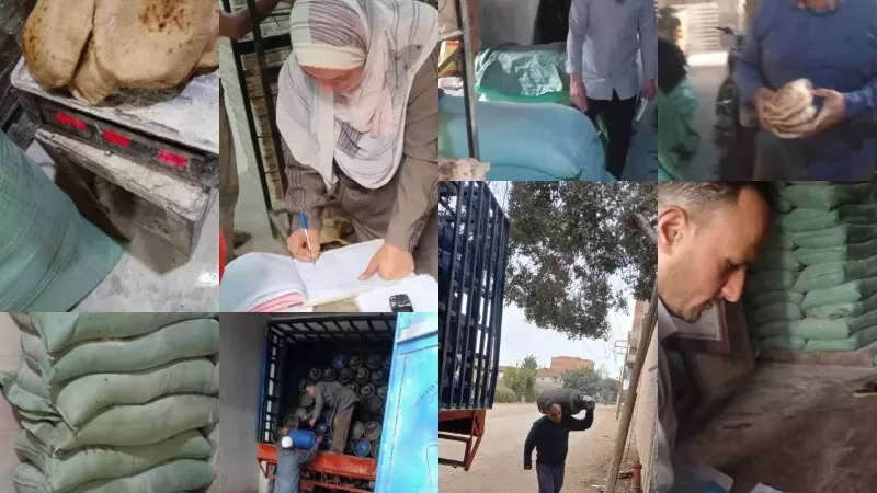 تموين القليوبية