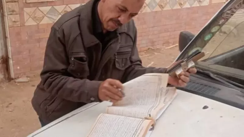 تموين القليوبية