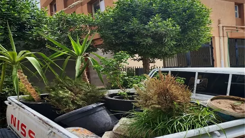 بوابة الجمهورية