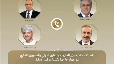 وزير الخارجية : دفع عملية التفاوض يمثل ركيزة أساسية لخفض التصعيد